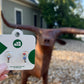 Texas 3D Huggie Hoop Earrings