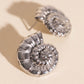 Shell Swirl Stud Earrings