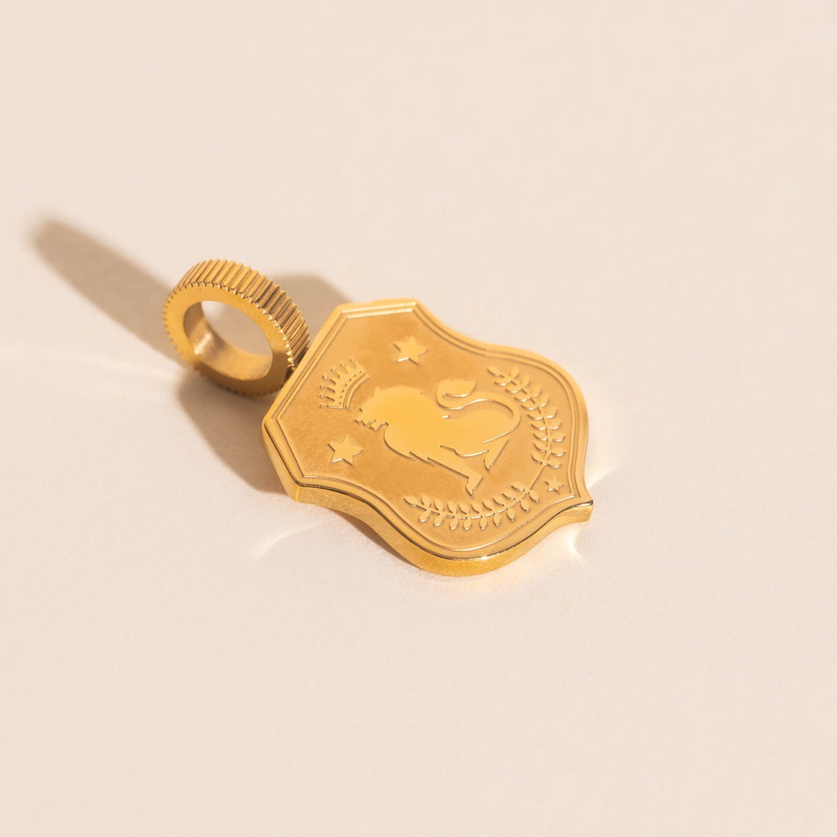 Lion Shield Necklace Charm