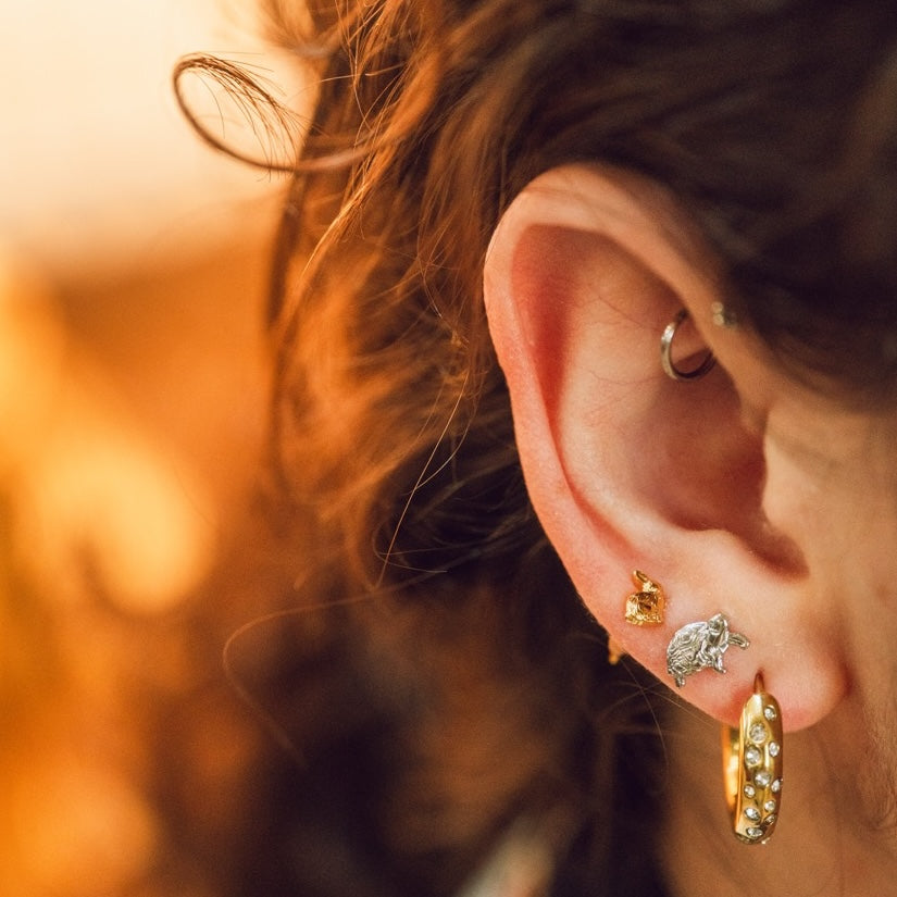 Turtle Stud Earrings