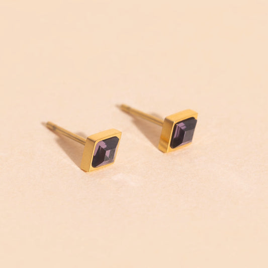 February Birthstone Stud Earrings