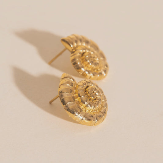 Shell Swirl Stud Earrings